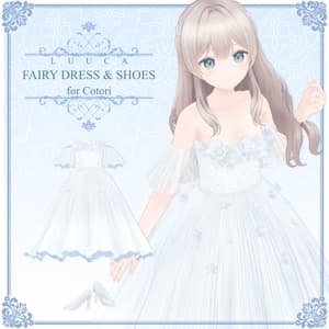 FAIRY DRESS & SHOES