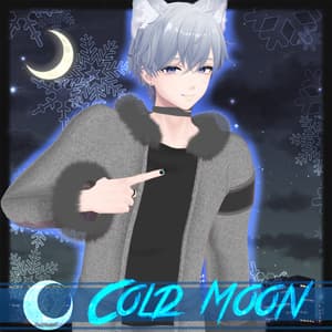 【4アバター対応衣装】ColdMoon