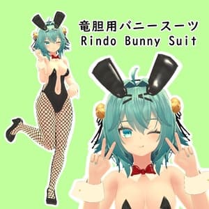竜胆用バニースーツ || Rindo Bunny Suit