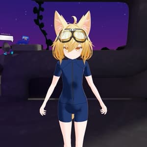 ラッシュガード【RadDollV2専用】