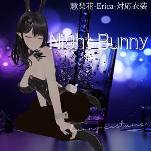 慧梨花-Erica-対応衣装 Night Bunny【VRchat】