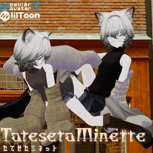 【VRChat 】たてせたミネット 【14アバター対応】