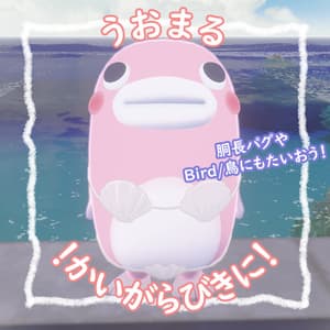 かいがらびきに!