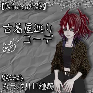 【Velnica対応】古着屋巡り