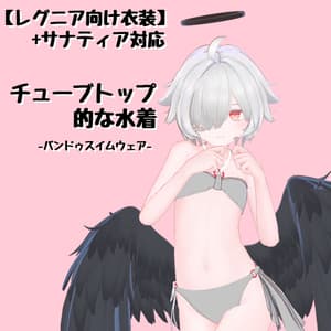 【レグニア向け衣装】+サナティア対応 チューブトップ的な水着