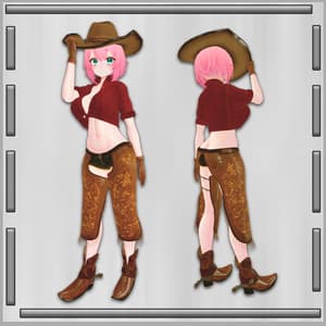 Cowboy Outfit for Apollo