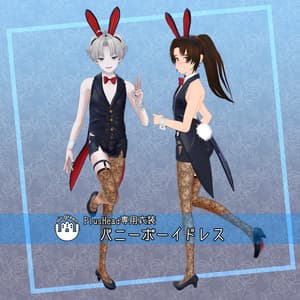 PlusHead専用衣装 バニーボーイドレス