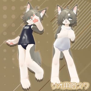 スクール水着(旧式)【リオくん用】