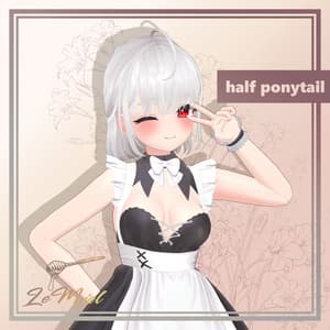 Half Ponytail