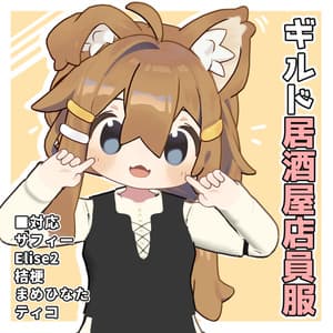 【VRChat想定】Guild居酒屋店員服【現時点6アバター対応】