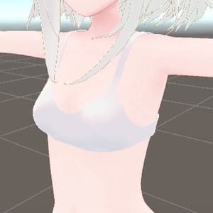 フェリス用ブラ