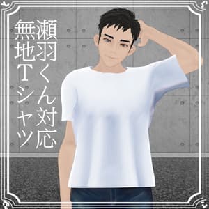 【瀬羽くん対応】無地Tシャツ